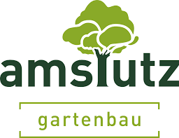 amstutz